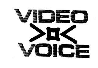 VIDEO VOICE logo