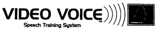 VIDEO VOICE SPEECH TRAINING SYSTEM logo