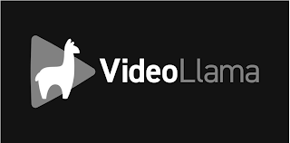 VIDEOLLAMA logo
