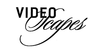 VIDEOSCAPES logo