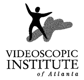 VIDEOSCOPIC INSTITUTE OF ATLANTA logo