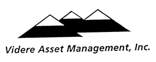 VIDERE ASSET MANAGEMENT, INC. logo