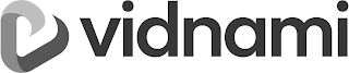 VIDNAMI logo