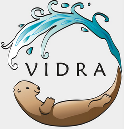 VIDRA logo