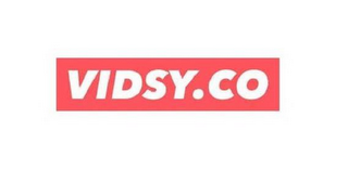 VIDSY.CO logo