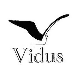 VIDUS logo