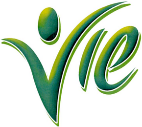 VIE logo