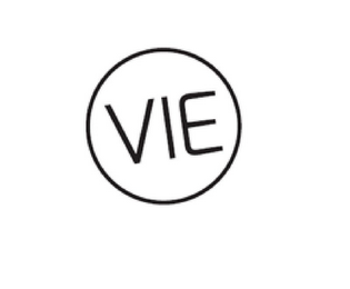 VIE logo