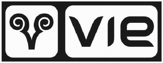 VIE logo