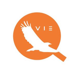 VIE logo