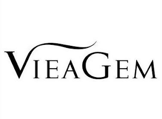 VIEAGEM logo