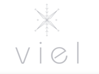VIEL logo
