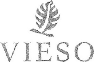 VIESO logo