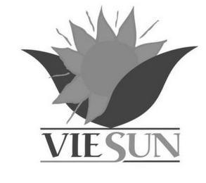 VIESUN logo