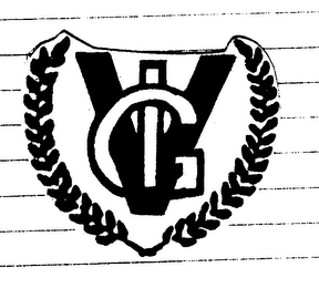 VIG logo