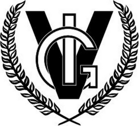 VIG logo