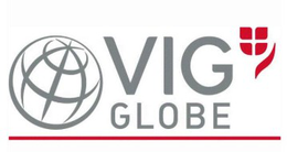 VIG GLOBE logo