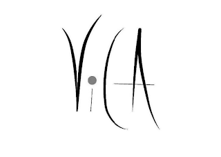 VIGA logo