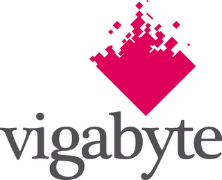 VIGABYTE logo