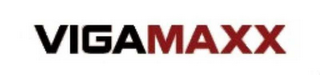 VIGAMAXX logo