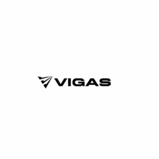 VIGAS logo
