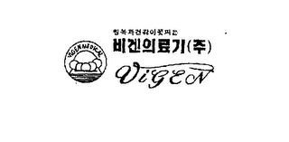 VIGEN logo