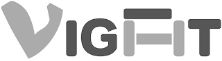 VIGFIT logo