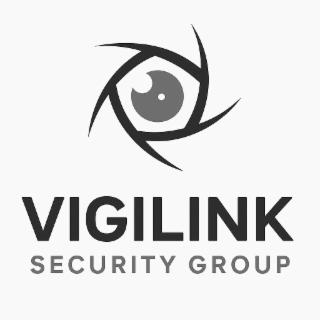 VIGILINK SECURITY GROUP logo