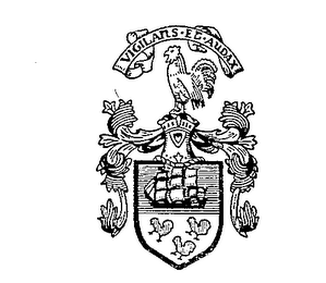 VIGLIANS ET AUDAX logo