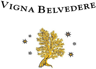 VIGNA BELVEDERE logo