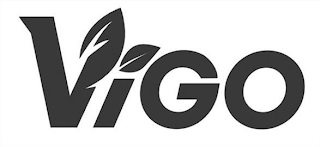 VIGO logo