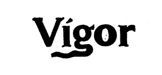VIGOR logo