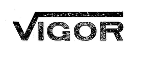 VIGOR logo