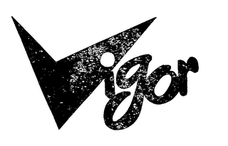 VIGOR logo