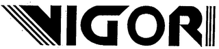 VIGOR logo