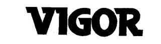 VIGOR logo