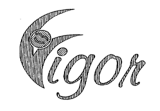 VIGOR logo