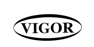 VIGOR logo