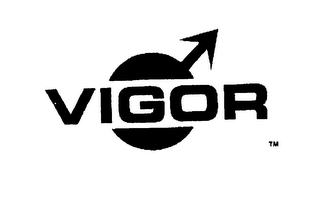 VIGOR logo