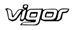 VIGOR logo