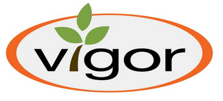VIGOR logo