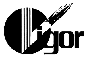 VIGOR logo