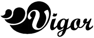 VIGOR logo