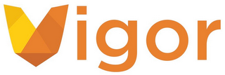 VIGOR logo