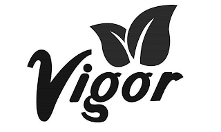 VIGOR logo