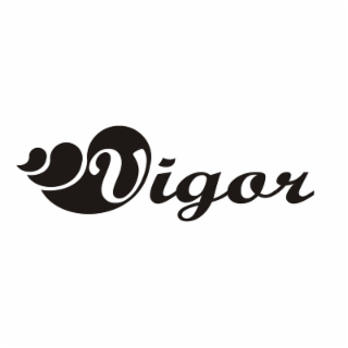VIGOR logo