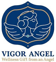 VIGOR ANGEL WELLNESS GIFT FROM AN ANGEL logo