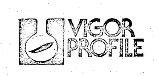 VIGOR PROFILE logo