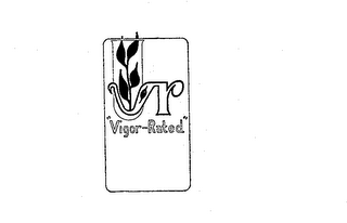 "VIGOR-RATED" VR logo