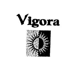VIGORA logo